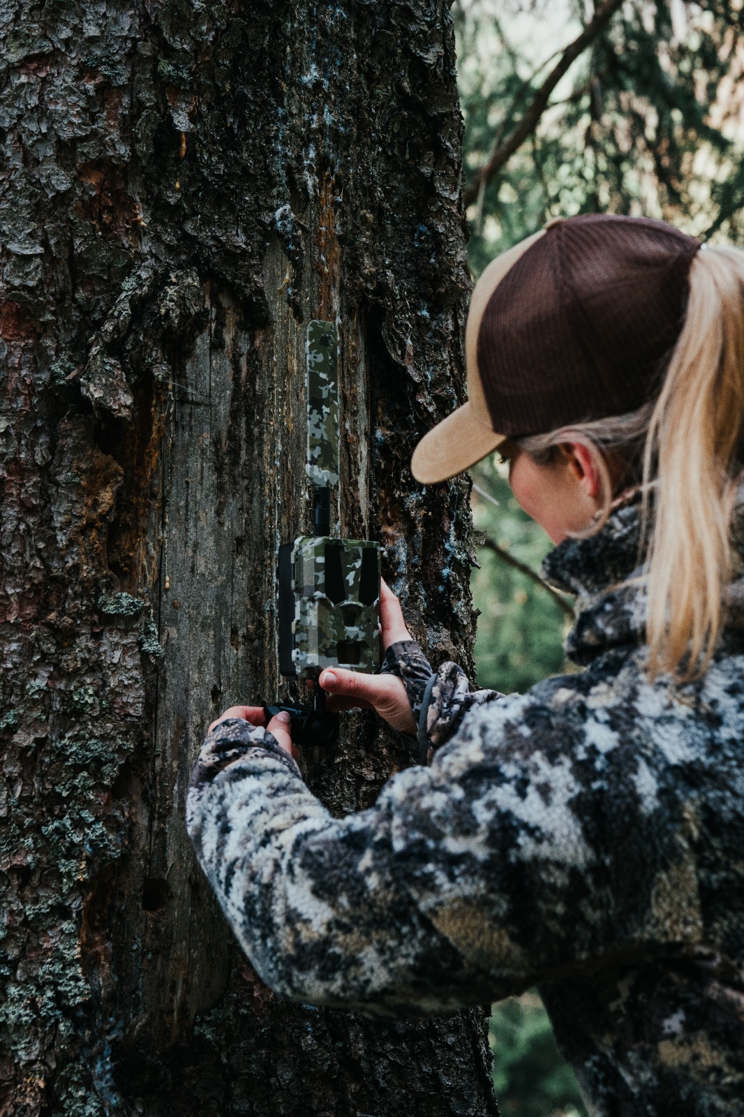 Welcome to Modernhunter