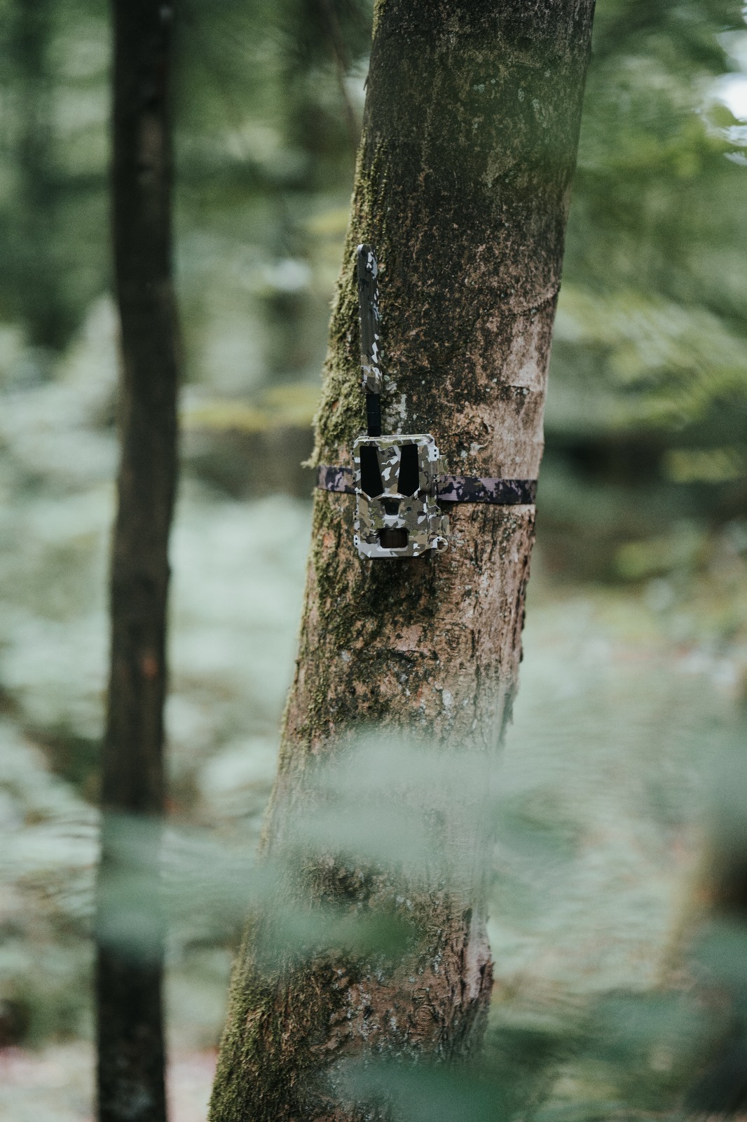 Welcome to Modernhunter